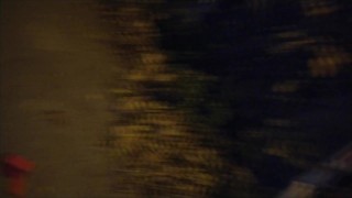 PIG SLUT big tits stepmom on leash sucking fat cock in public